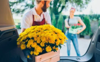 Flower Delivery in Kitchener