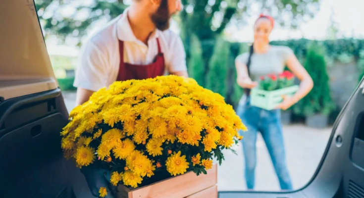 Flower Delivery in Kitchener